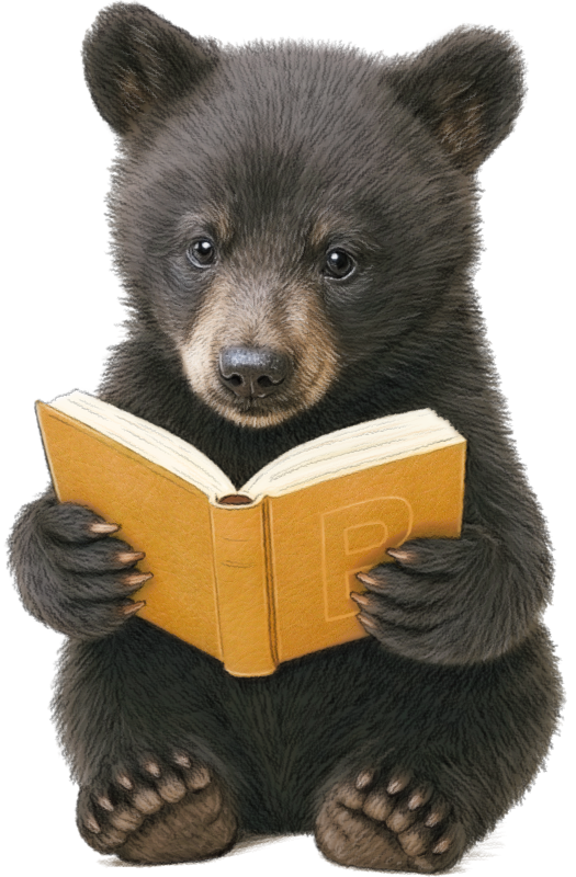 Baby Bear Blog Illustration